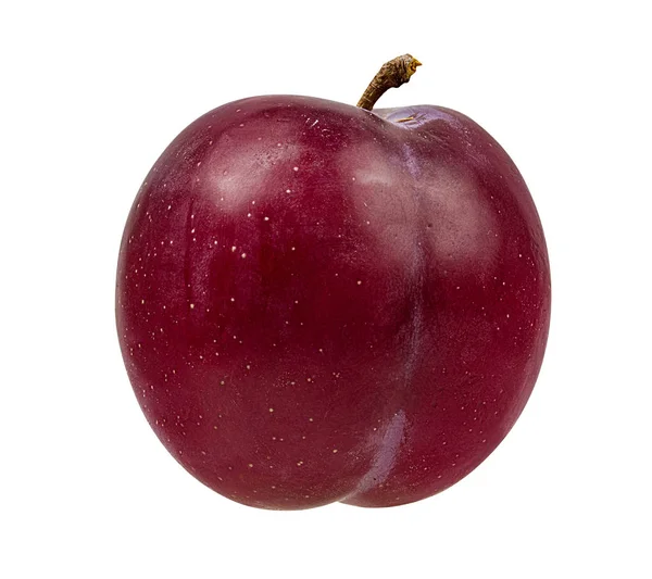 Plum Een Witte Achtergrond — Stockfoto