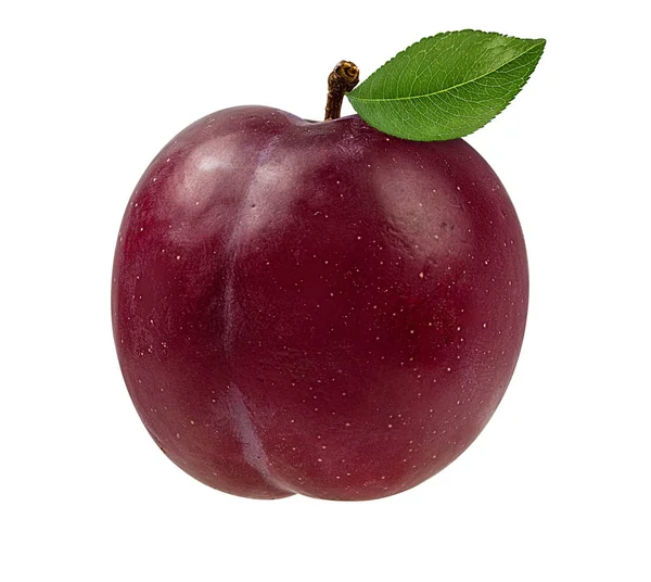 Plum Een Witte Achtergrond — Stockfoto