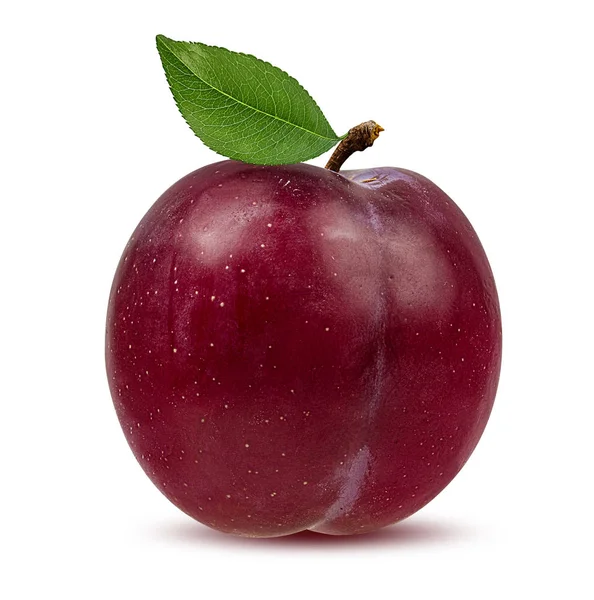 Plum Een Witte Achtergrond — Stockfoto