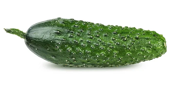 Cucumber Isolated White Background — Stock Photo, Image