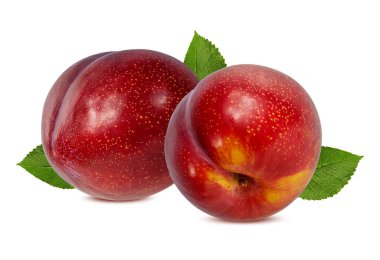 Beyaz arkaplanda erik