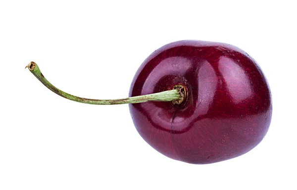 Cereza Con Hojas Aisladas Sobre Fondo Blanco —  Fotos de Stock