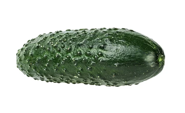 Cucumber Isolated White Background Stock Photo