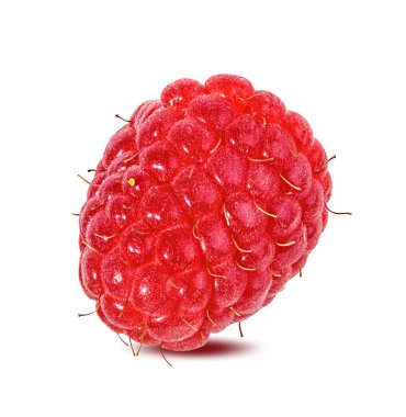 Ahududu beyaz arkaplanda izole edildi