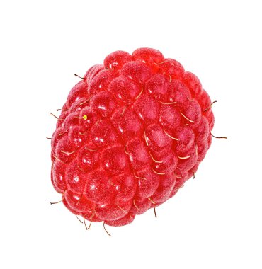 Ahududu beyaz arkaplanda izole edildi