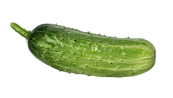 Cucumber Isolated White Background — Stock Photo, Image