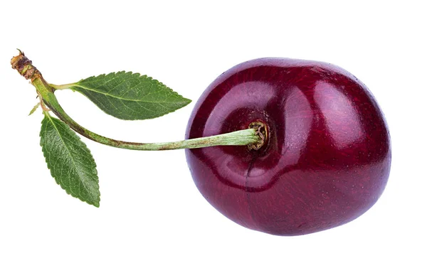 Cherry Dengan Daun Terisolasi Latar Belakang Putih — Stok Foto