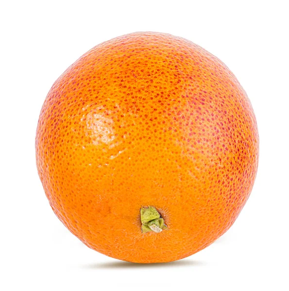 Mogna Röda Orange Isolerad Vit Bakgrund — Stockfoto