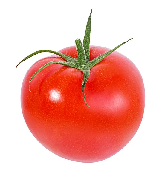 Tomate Isoliert Auf Weißem Hintergrund — Stockfoto