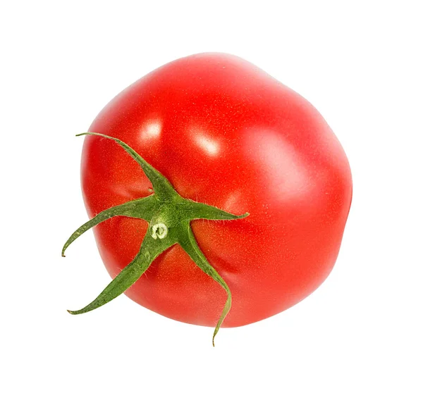 Tomate Isoliert Auf Weißem Hintergrund — Stockfoto