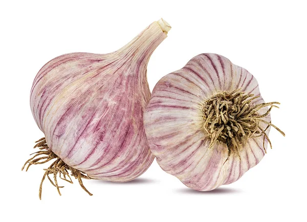 Knoblauch Isoliert Auf Weißem Hintergrund — Stockfoto