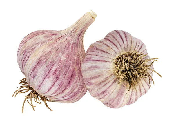 Knoblauch Isoliert Auf Weißem Hintergrund — Stockfoto