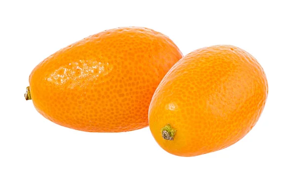 Kumquat Isolato Sfondo Bianco — Foto Stock