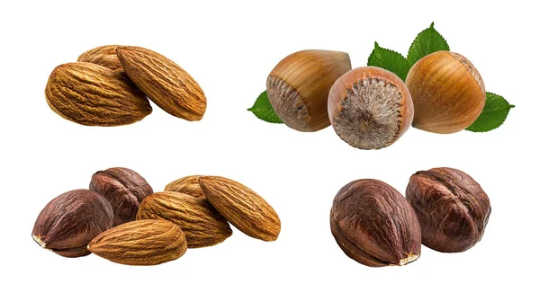 Noisettes Amandes Isolées Sur Fond Blanc Clipping Path — Photo