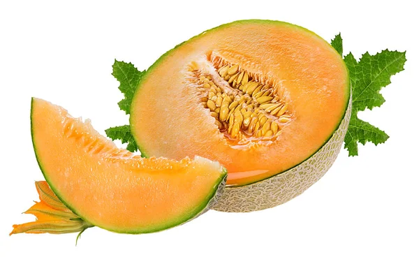 Melon Isolerad Vit Bakgrund — Stockfoto