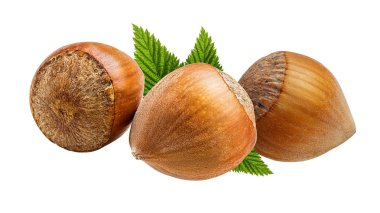 Beyaz arka plan kırpma yolu üzerinde izole fındık