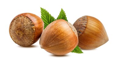 Beyaz arka plan kırpma yolu üzerinde izole fındık