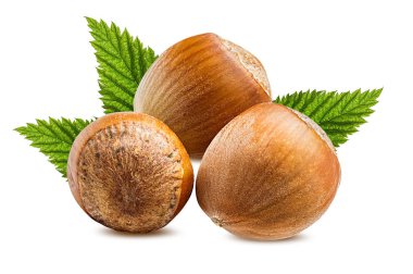 Beyaz arka plan kırpma yolu üzerinde izole fındık