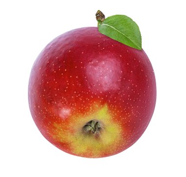 beyaz arkaplanda elma