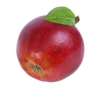 beyaz arkaplanda elma