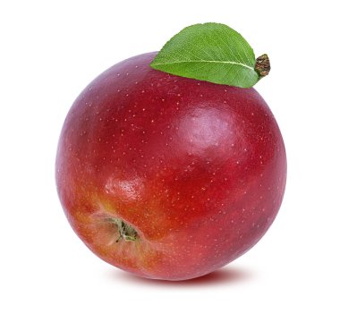 beyaz arkaplanda elma