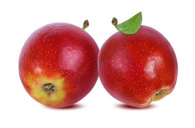 beyaz arkaplanda elma