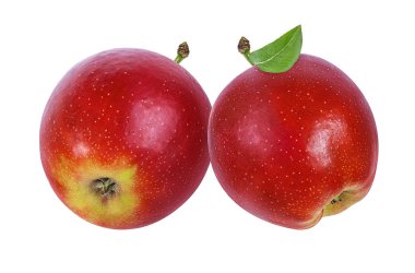 beyaz arkaplanda elma