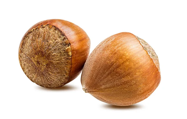 Hazelnut Isolated White Background Clipping Path — Stock Photo, Image