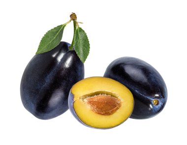 Beyaz arkaplanda erik