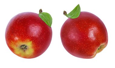 beyaz arkaplanda elma