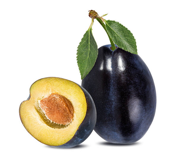 plum on a white background