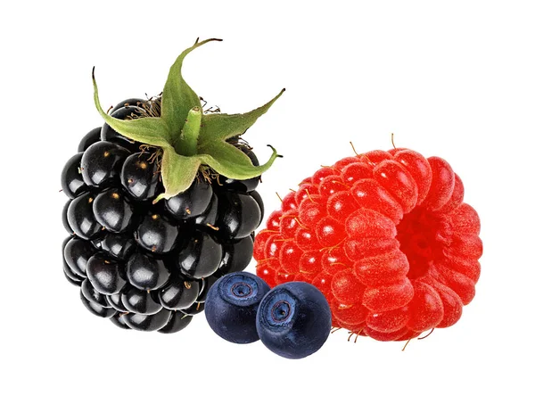 伯里斯系列 覆盆子 黑莓在白色上被分离出来 — 图库照片