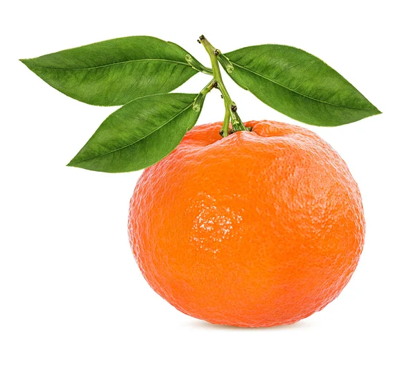 Tangerine Mandarijn Fruit Geïsoleerd Witte Achtergrond — Stockfoto
