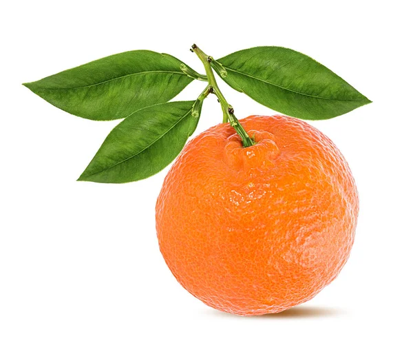 Tangerine Mandarin Frukt Isolerad Vit Bakgrund — Stockfoto