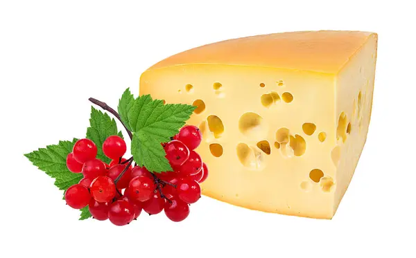 Čerstvý Sýr Kalina Izolovaných Bílém Pozadí — Stock fotografie
