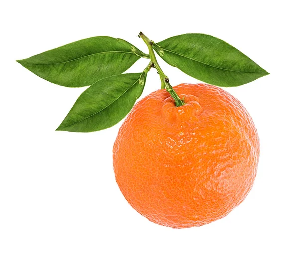 Tangerine Mandarin Frukt Isolerad Vit Bakgrund — Stockfoto