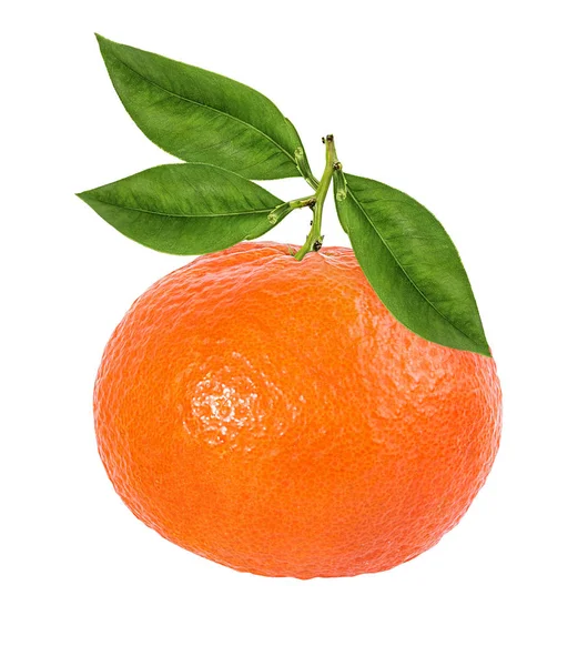 Mandarine Mandarine Frucht Isoliert Auf Weißem Hintergrund — Stockfoto