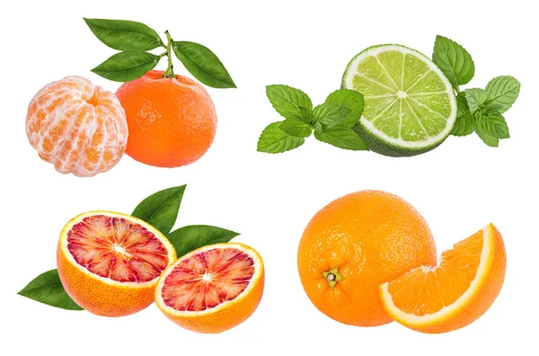 Citrus Fruits White Background — Stock Photo, Image