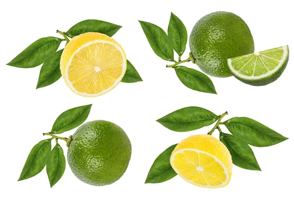 新鮮なレモンとライムの白い背景で隔離 — ストック写真