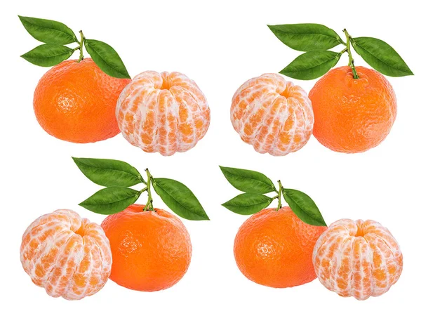 Mandalina mandalina meyvebeyaz arka plan üzerinde izole