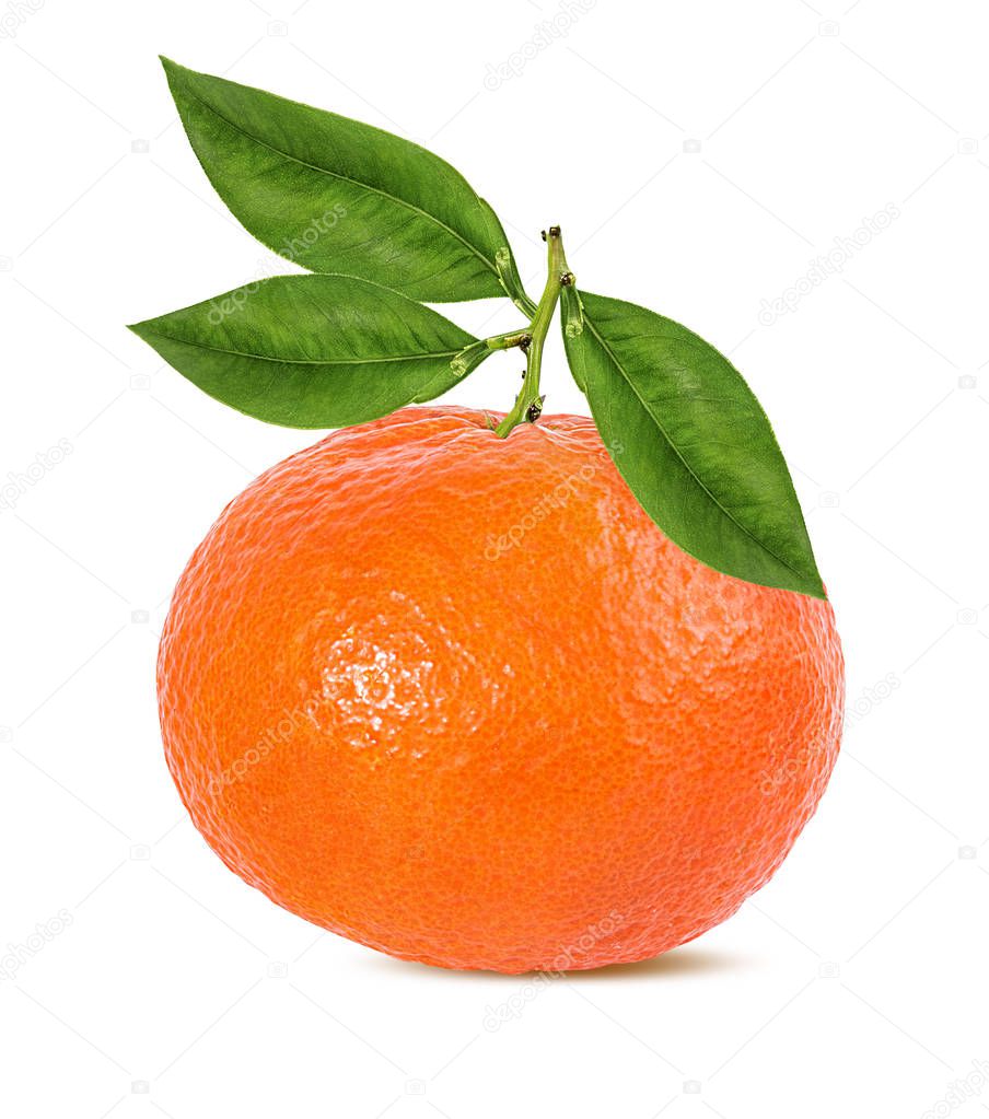 Tangerine mandarin fruit isolated on white background