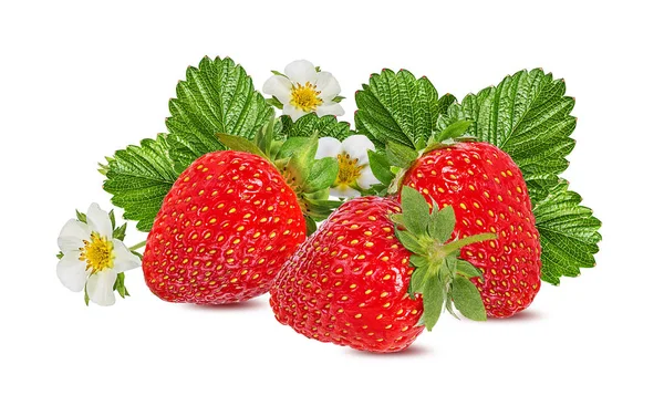 Fragola Con Fiore Isolato Sfondo Bianco — Foto Stock