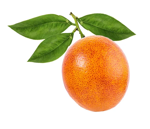 Mogen Orange Isolerad Vit Bakgrund — Stockfoto