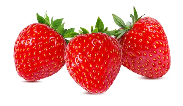 被白色背景隔离的草莓 免版税图库照片
