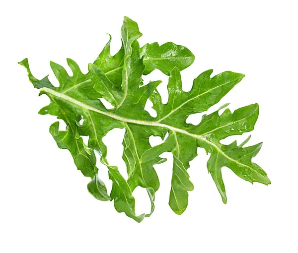 Arugula Isolerad Vit Bakgrund — Stockfoto