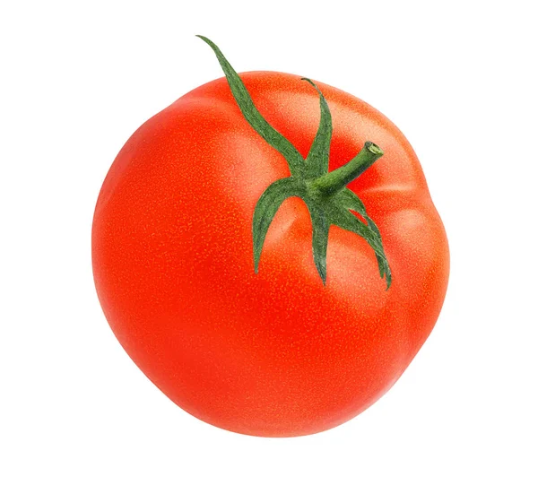 Tomate Isoliert Auf Weißem Hintergrund — Stockfoto