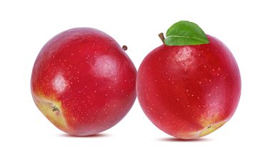 beyaz arkaplanda elma