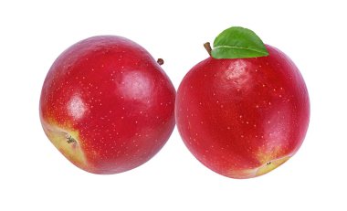 beyaz arkaplanda elma