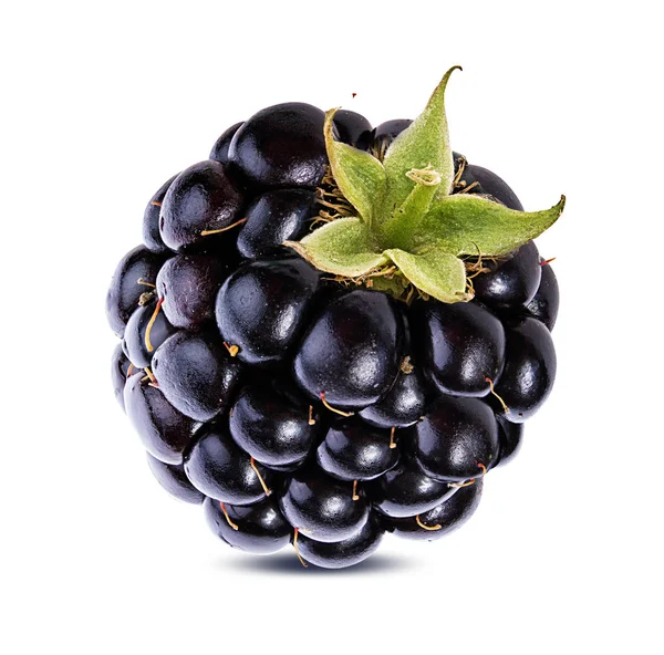 Blackberry Isolated White Background Clipping Path — Stock Photo, Image