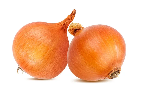 Beyaz arkaplanda izole soğanlar